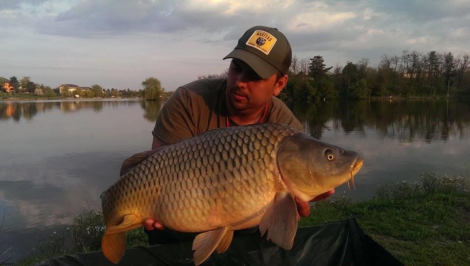 Hermes Peris 25 - 26 aprilie 2015 - 14738519912257942356441853938179n.jpg